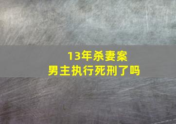 13年杀妻案 男主执行死刑了吗